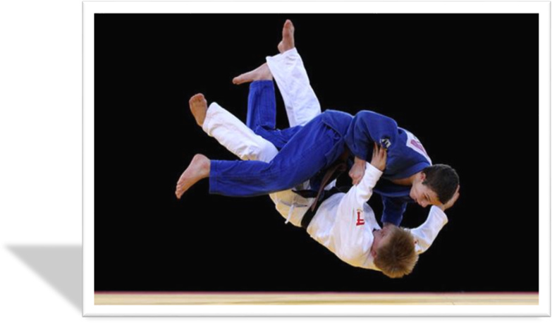 http://www.palestrafrascati.it/wp-content/uploads/2014/11/JUDO.jpg