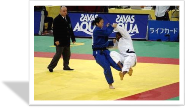 http://judogrisolles.free.fr/IMG/jpg/balayage_20core_3F_3Fe-2.jpg