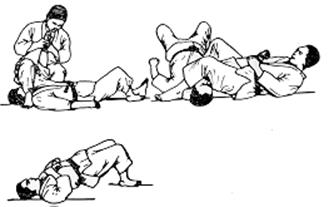 ude-hishigi-juji-gatame1