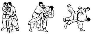 harai-goshi
