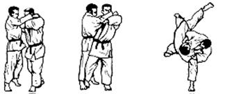 hane-goshi