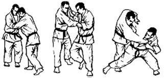 tai-otoshi